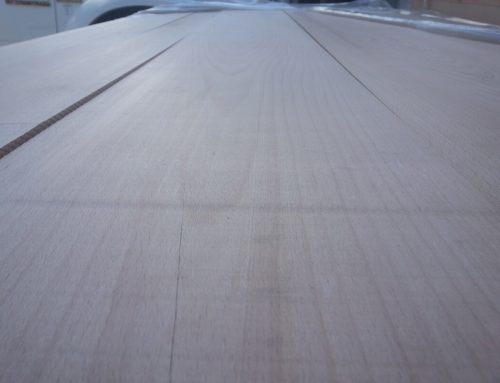 Differences between American beech and European beech lumber