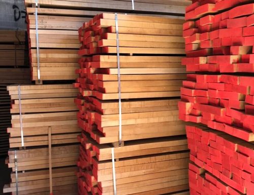 Where to Buy Beech Wood Lumber