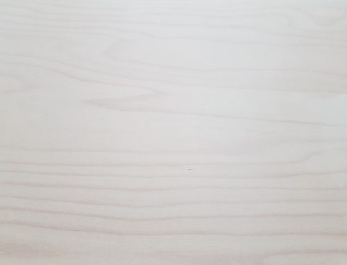 All You Need to Know About Light Beech Wood Timber