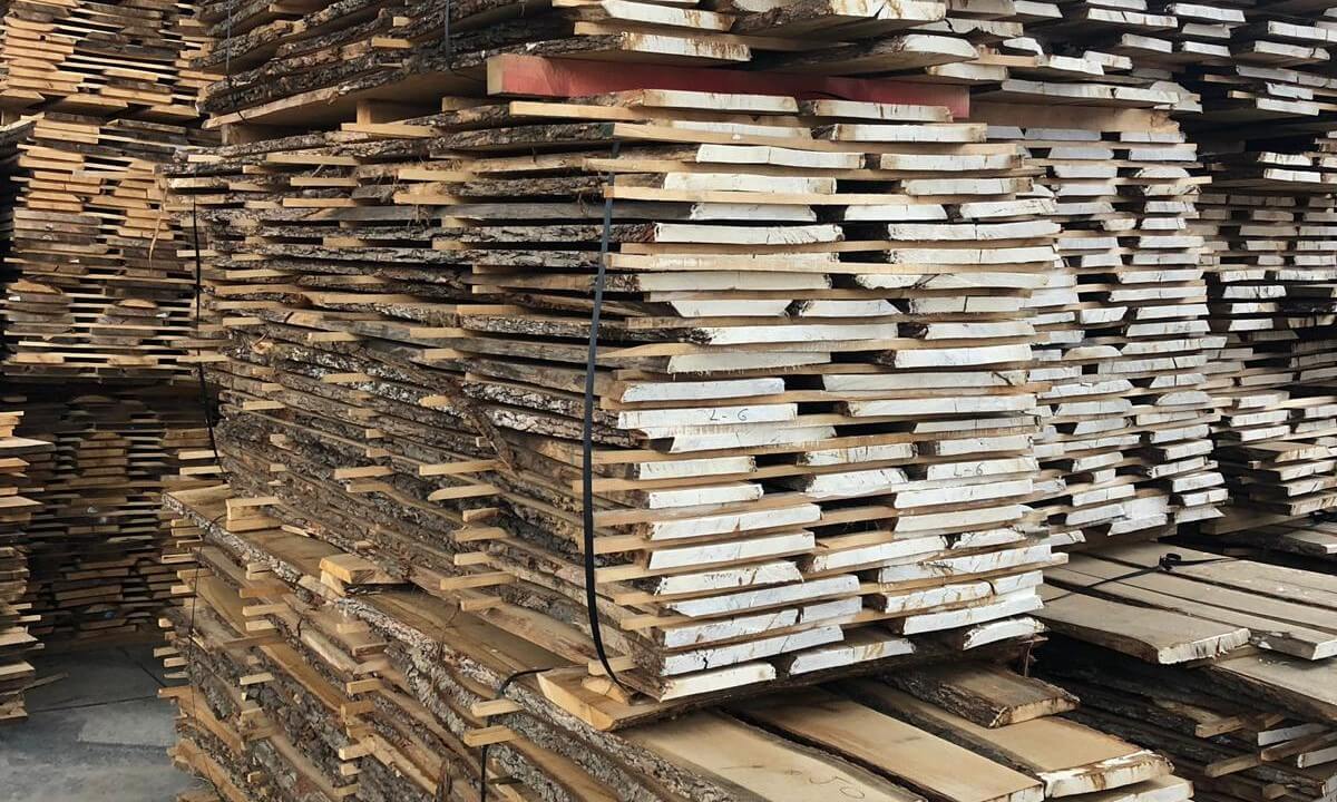 unedged beech wood lumber supply